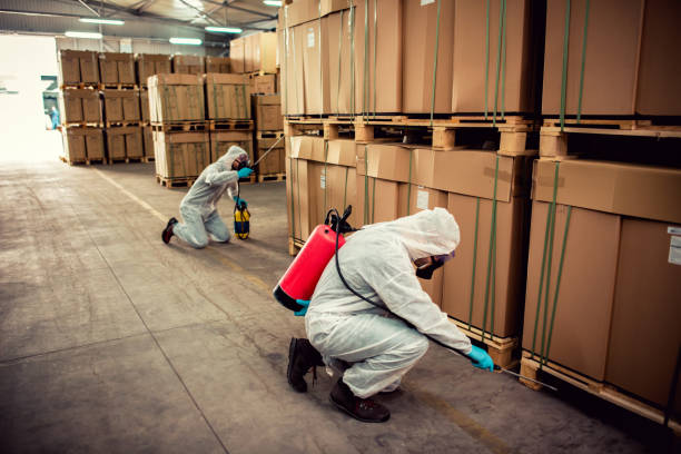 Best Bed Bug Extermination  in Bensley, VA