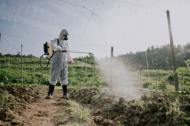 Professional Pest Control in Bensley, VA