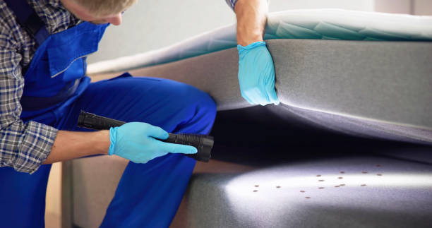 Best Local Pest Control Services  in Bensley, VA