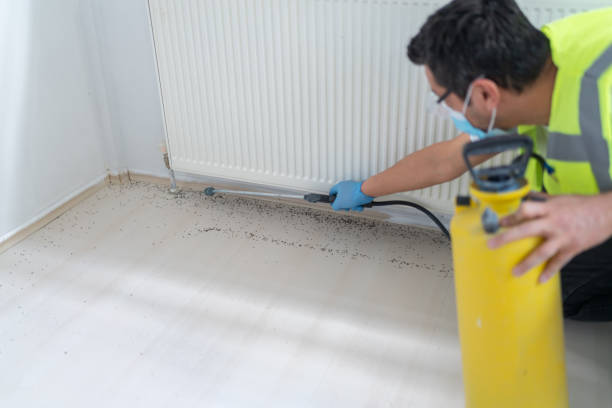 Best Exterminator Services  in Bensley, VA