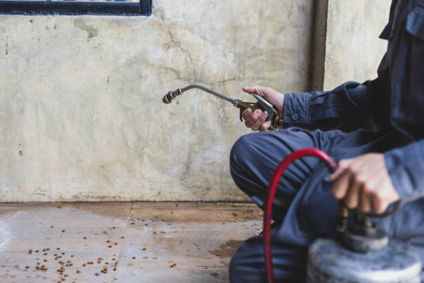 Best Commercial Pest Control Services  in Bensley, VA