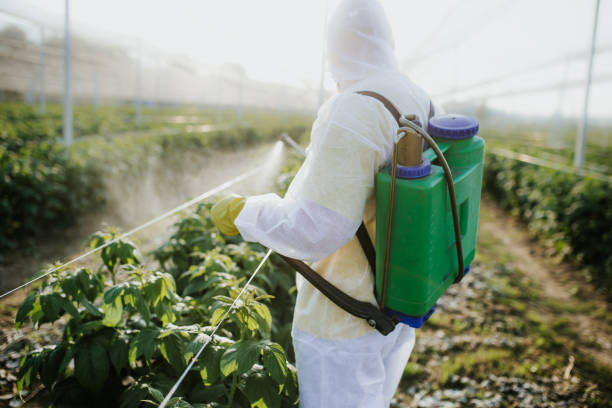 Best Cockroach Control Services  in Bensley, VA